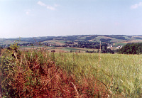 Borkowskie krajobrazy - fot. z archiwum Urzędu Miejskiego