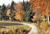 Niebieski szlak w Kielnarowej - fot. z archiwum Urzędu Miejskiego